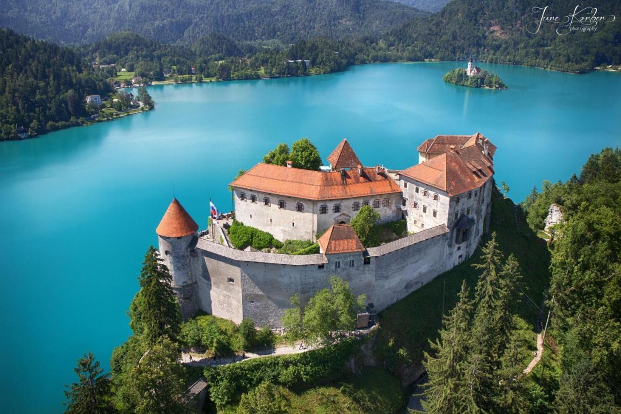 Castle Way Tamy Bled