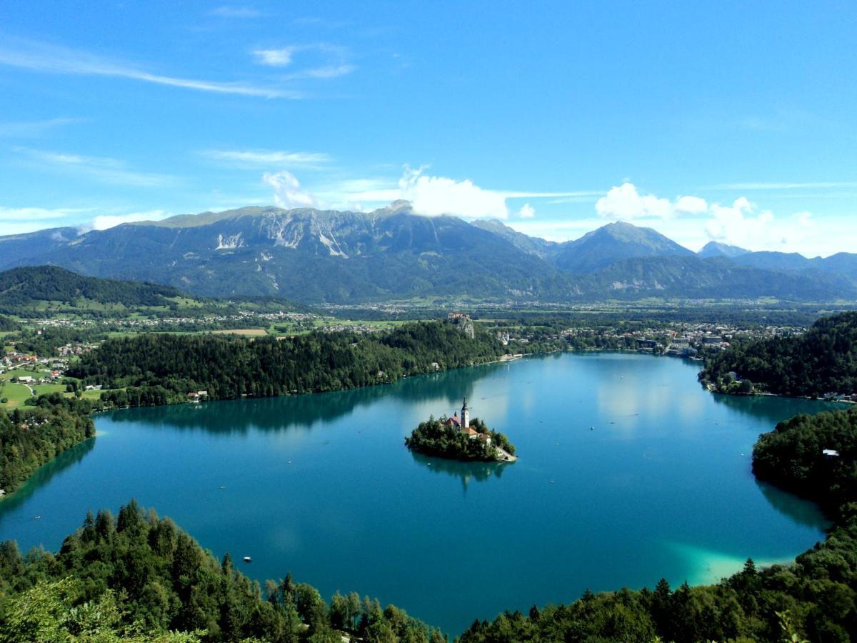 Castle Way Tamy Bled